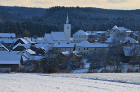 Waldhausen im Winter