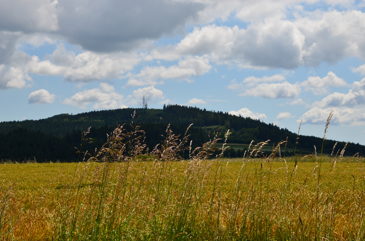 Der Loschberg